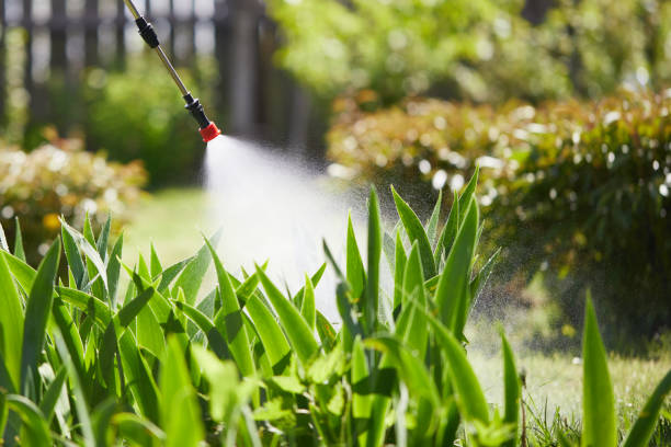 Tamper-Resistant Bait Stations for Rodents in Seffner