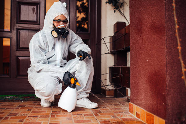 Attic and Crawl Space Rodent Treatment in Seffner